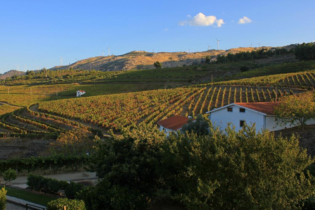 Quinta Da Padrela Winery House Villa